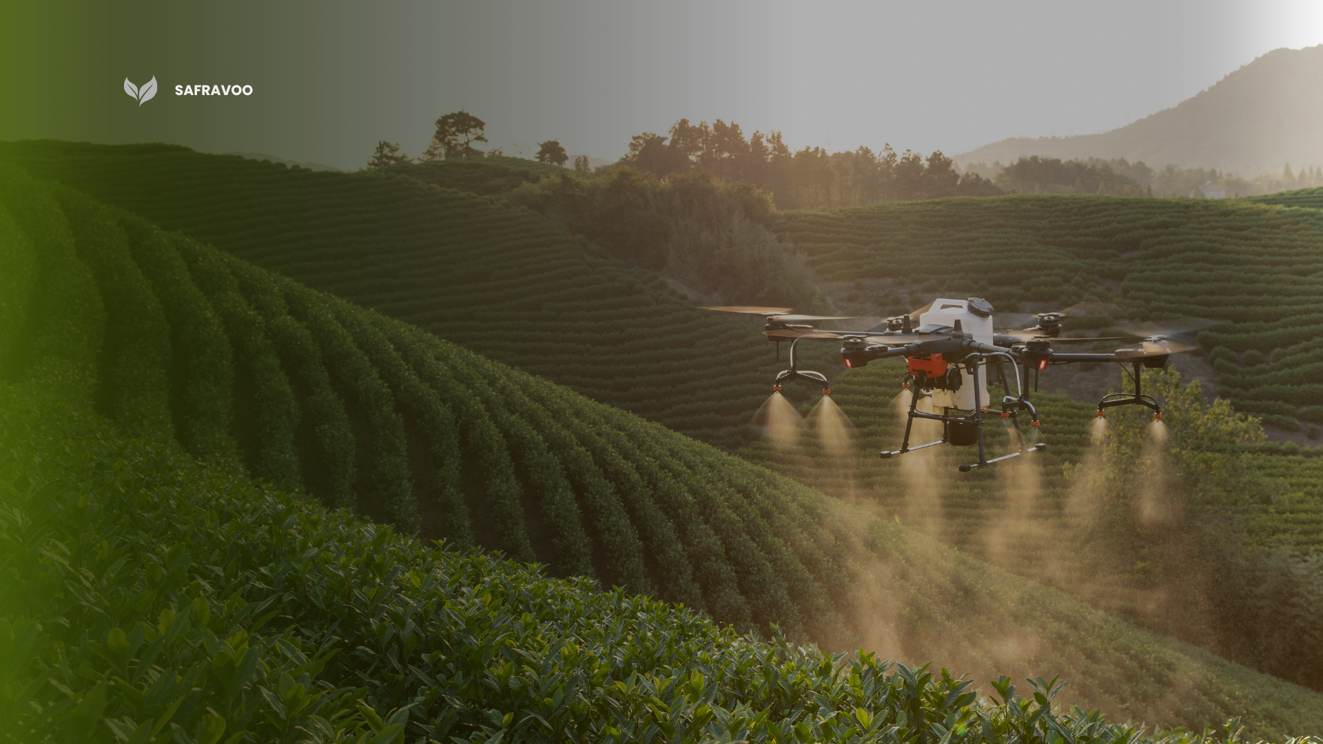 Drone realizando pulverização agrícola sobre uma lavoura